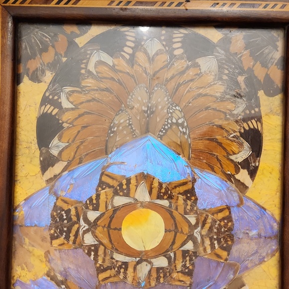 Vintage Inlaid Wood Tray with Butterfly Wings - Picture 14 of 16